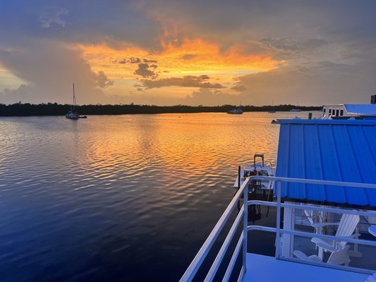 Mangrove Marina by null
