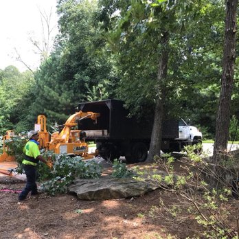Arborwise - Saving Trees Braselton - Tree Services Near Me - Braselton, Georgia Arborwise - Saving Trees Braselton - Tree Services Near Me - Braselton, Georgia