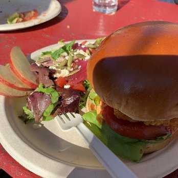 Appalachian Chic - Fried Chicken sandwich made nAsheville hot with a side salad - Food Trucks Near Me