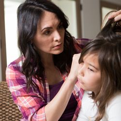 Lice Care Solutions