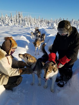 Alaska Homestead Adventures by null