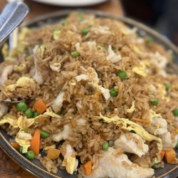 Fried rice - chicken
