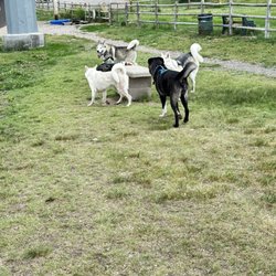 Nancy Mockler Dog Park