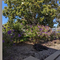 San Mateo Public Library - Hillsdale Branch Library