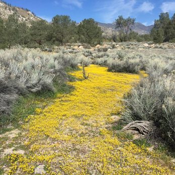 Kern River Preserve - Hiking Near Me - Weldon, California Kern River Preserve - Hiking Near Me - Weldon, California