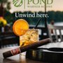Photo of Pond 