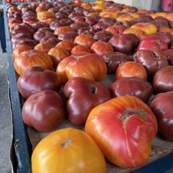 The Summit All Seasons Market