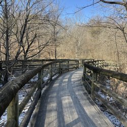 Huckleberry Trail