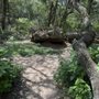 Photo of Schulle Canyon Natural Area