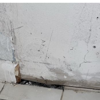 Xclusive Homes - Water damage. - Real Estate Services Near Me - Naples, Florida Xclusive Homes - Water damage. - Real Estate Services Near Me - Naples, Florida