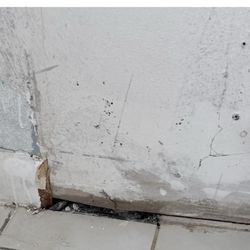 Xclusive Homes - Water damage.