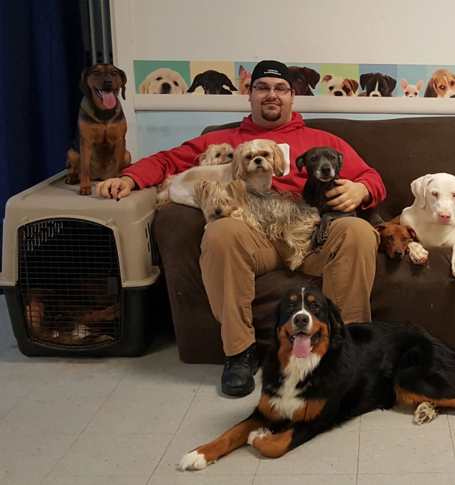 KNOWPLACE PETS Updated August 2024 10 Photos Marengo, Illinois Pet Groomers Phone