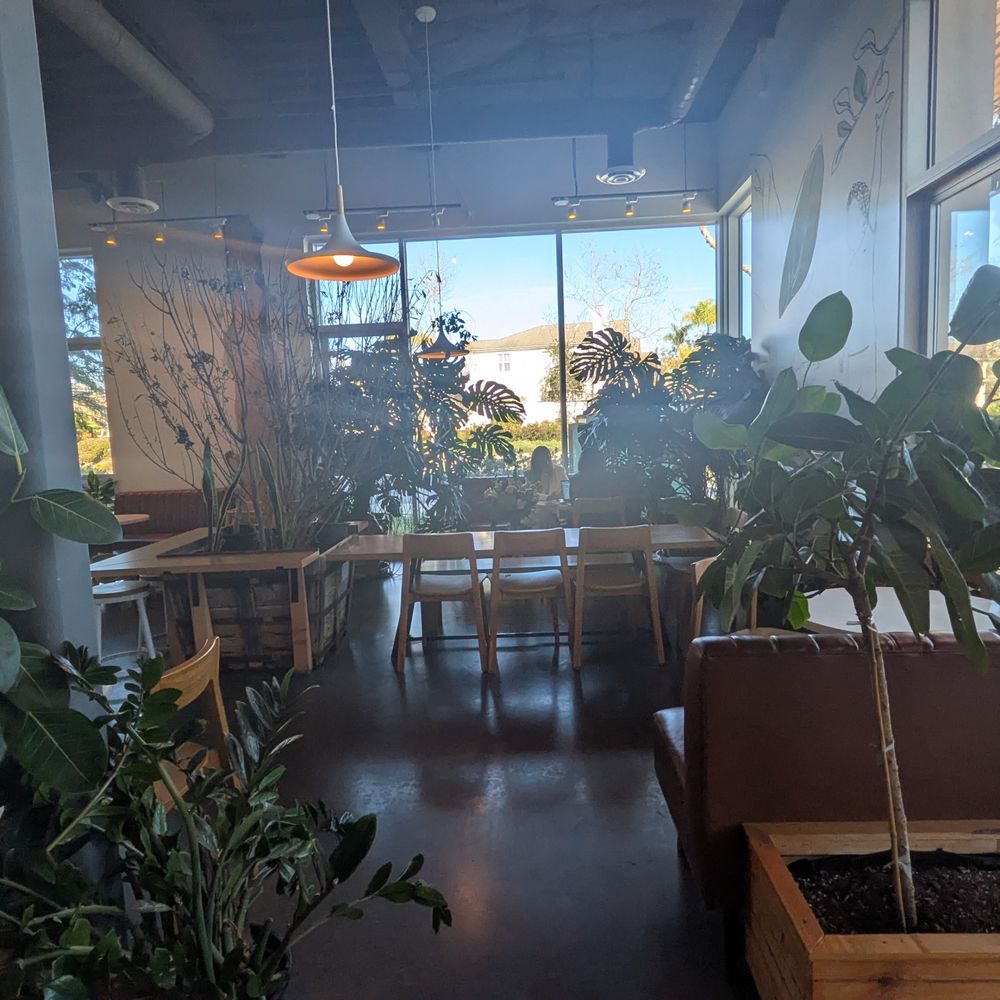 Dot Cafe - Coffee & Tea Near Me - San Diego, California Dot Cafe - Coffee & Tea Near Me - San Diego, California
