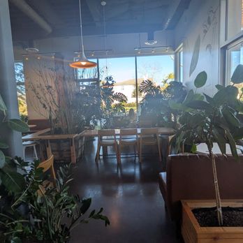 Dot Cafe - Coffee & Tea Near Me - San Diego, California Dot Cafe - Coffee & Tea Near Me - San Diego, California