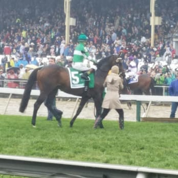 Pimlico Race Course - Exxagerator...winner of the preakness - Stadiums & Arenas Near Me - Baltimore, Maryland