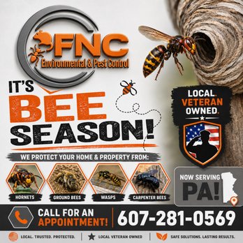 FNC Environmental & Pest Control - Pest Control Near Me - Owego, New York FNC Environmental & Pest Control - Pest Control Near Me - Owego, New York