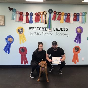 Foothills Canine Academy - Puppy class graduation! - Pet Training Near Me - Middleton, Idaho