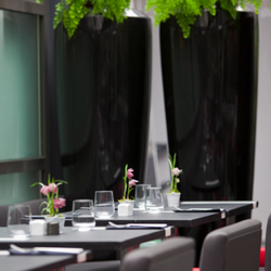 Ken Club - Restaurant - Terrasse