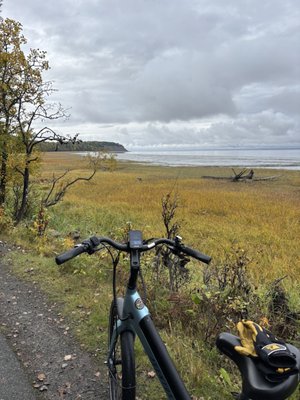 Alaska Pablo's Bicycle Rentals& Tours by null