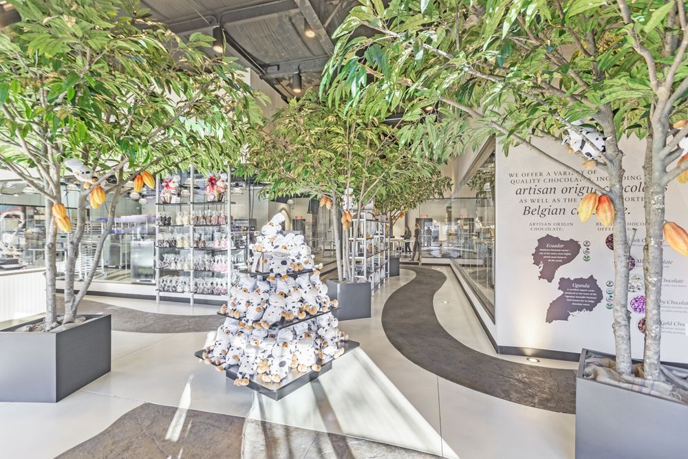 BITZEL’S CHOCOLATE Updated November 2024 29 Photos & 15 Reviews