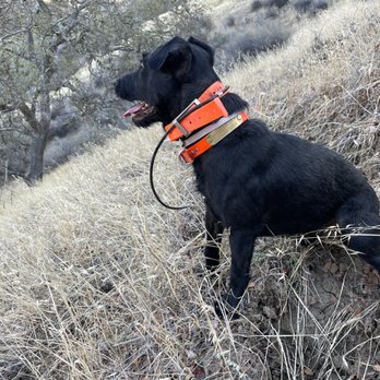 Schmidt Guide Service - Wildlife Hunting Ranges Near Me - King City, California Schmidt Guide Service - Wildlife Hunting Ranges Near Me - King City, California