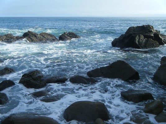 Salt Point State Park by null