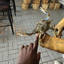 Steamed Crabs
