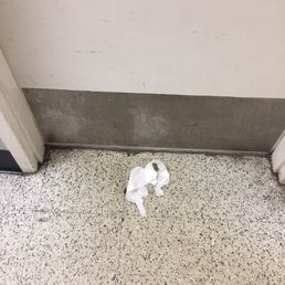 This is the "welcome" dirty tissue, right in front of the bathroom, left for their female patrons. This is the "welcome" dirty tissue, right in front of the bathroom, left for their female patrons.