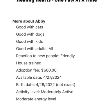 Fur-Ever Paws Dog Rescue - Animal Shelters Near Me