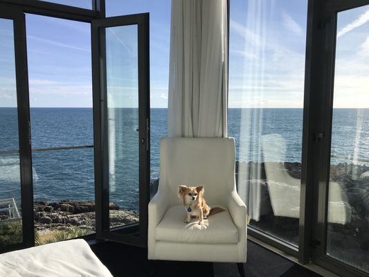 Farol Hotel by null