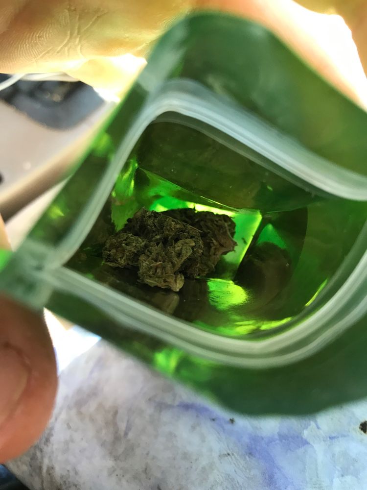 MYSTIC GREEN Updated May 2024 Chico, California Cannabis