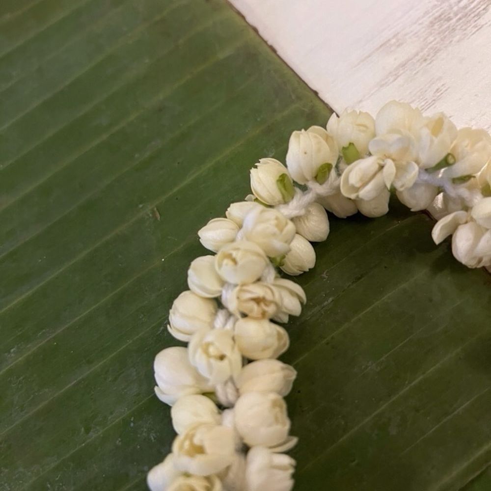 Mehfil - Beautiful garland made with natural jasmine flowers individually tied. Lovely detail. - Indian Near Me - Asheville, North Carolina Mehfil - Beautiful garland made with natural jasmine flowers individually tied. Lovely detail. - Indian Near Me - Asheville, North Carolina