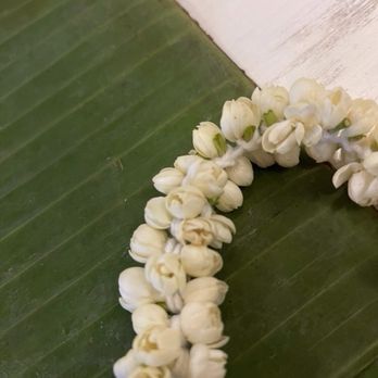 Mehfil - Beautiful garland made with natural jasmine flowers individually tied. Lovely detail. - Indian Near Me - Asheville, North Carolina Mehfil - Beautiful garland made with natural jasmine flowers individually tied. Lovely detail. - Indian Near Me - Asheville, North Carolina
