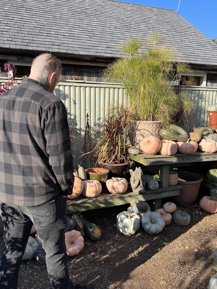 THE FARMER’S DAUGHTER Updated September 2024 172 Photos & 39