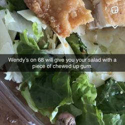 Wendy's - Wendy's salad with a side of chewed up gum.