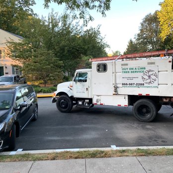 Out on A Limb Tree Service - Tree Services Near Me - Fairfax, Virginia Out on A Limb Tree Service - Tree Services Near Me - Fairfax, Virginia