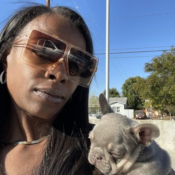 Value Bulls - My adorable lilac and tan Frenchie baby delivered by Value Bulls! One of a few! - Pet Transportation Near Me Value Bulls - My adorable lilac and tan Frenchie baby delivered by Value Bulls! One of a few! - Pet Transportation Near Me