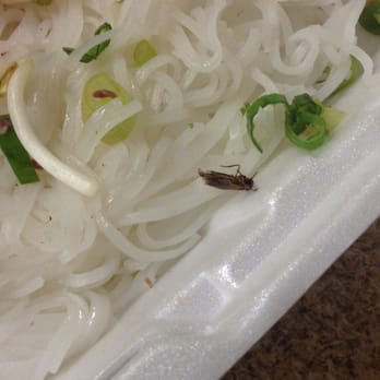 Pho 79 - Failed! I got a dead cockroach in the order of pho I ordered. Judge for yourself and you decide to eat here or not. - Vietnamese Near Me - Davie, Florida Pho 79 - Failed! I got a dead cockroach in the order of pho I ordered. Judge for yourself and you decide to eat here or not. - Vietnamese Near Me - Davie, Florida