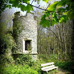 Penrhos Coastal Park - Penrhos part of the Stanley mansion in the woodlands.
