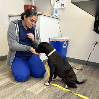 Aloha Affordable Veterinary Services - This vet tech was SO awesome! We love her. - Veterinarians Near Me - Aiea, Hawaii
