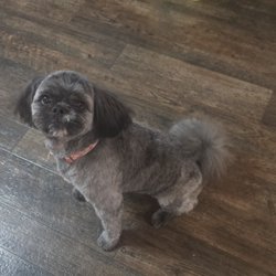 Tail Waggon Pet Services and Transport - Jaime