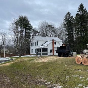 Tompkins Tree Service - Tree clean up - Tree Services Near Me Tompkins Tree Service - Tree clean up - Tree Services Near Me