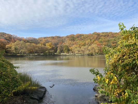 Inwood Hill Park by null