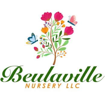 Beulaville Nursery - Nurseries & Gardening Near Me - Beulaville, North Carolina Beulaville Nursery - Nurseries & Gardening Near Me - Beulaville, North Carolina
