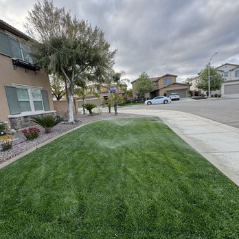 Apex Landscape Management - Tree Services Near Me Apex Landscape Management - Tree Services Near Me