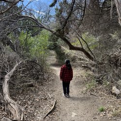 Walnut Creek Metropolitan Park - 3/9/25