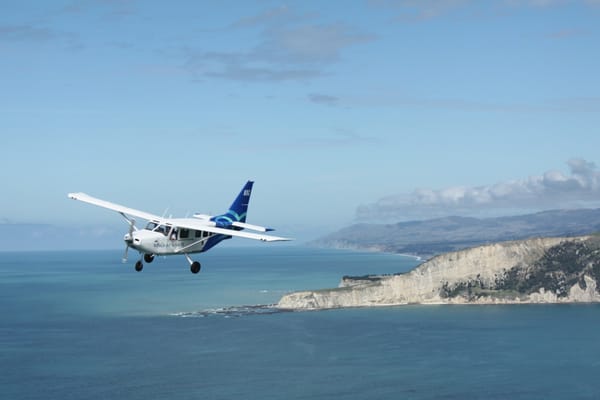 Wings Over Whales | Kaikoura Whale Watching by null