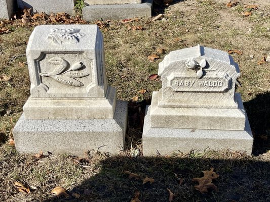 Forest Hills Cemetery by null