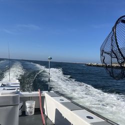 Spear-It Charters