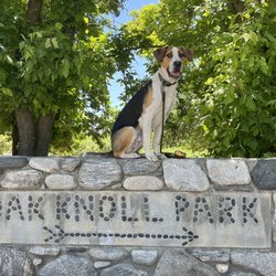 Oak Glen Preserve and Southern California Montane Botanic Garden - Oak Glen Preserve's Oak Knoll Park has ample picnic tables for family fun and it's located next to the Children's Forest!